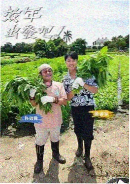 角色设计挑战赛 动漫综艺免费看